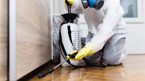 Best Fumigation Services  in Arcade, GA